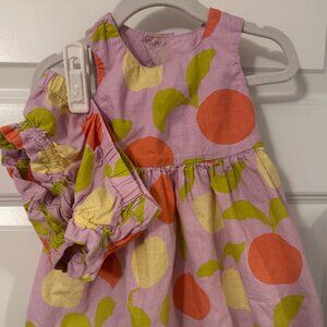 Hanna Andersson Dress and Bloomers Set